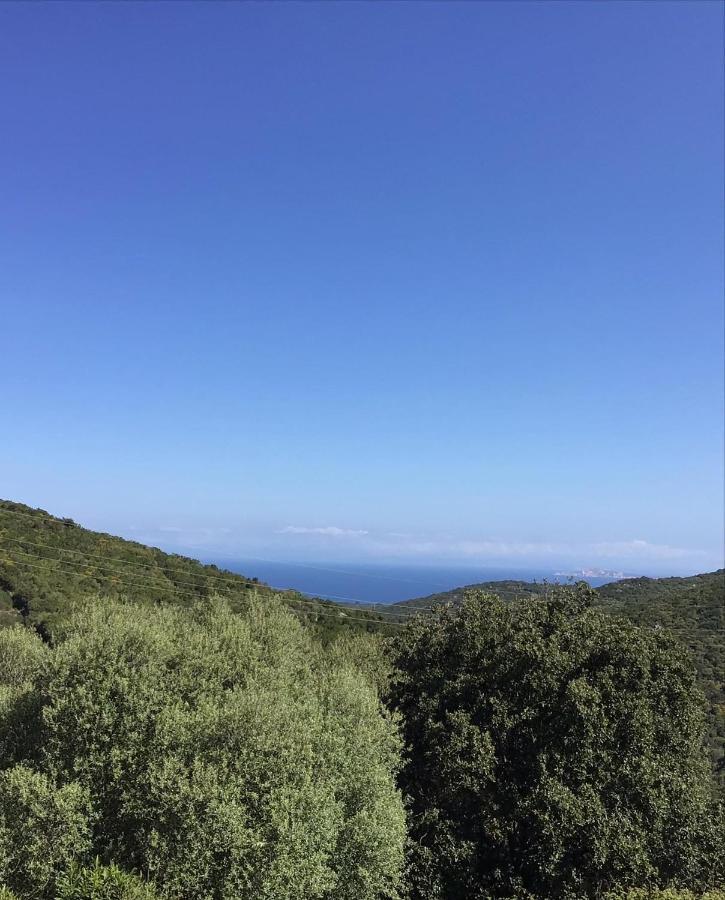 Agriturismo Lu Stabbiacciu Aglientu Dış mekan fotoğraf